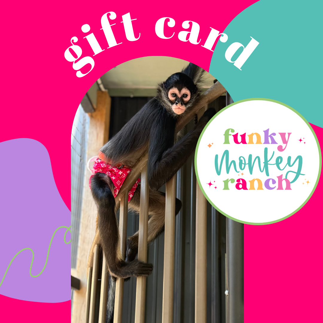 FMR Gift Card