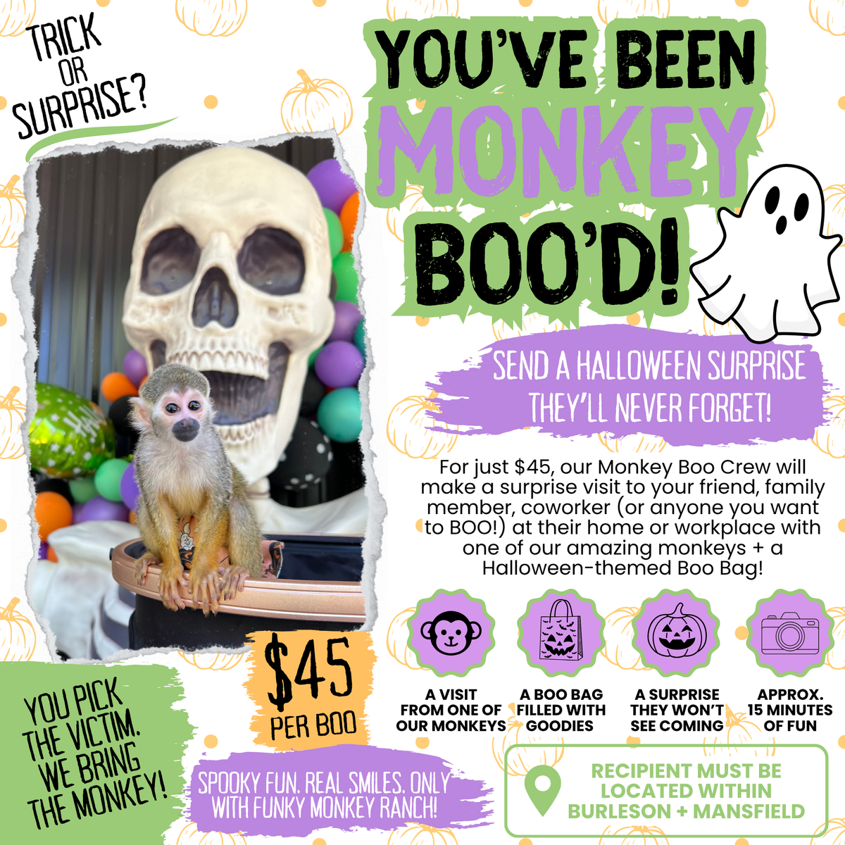 You've Been Boo'd - Send a Monkey Boo