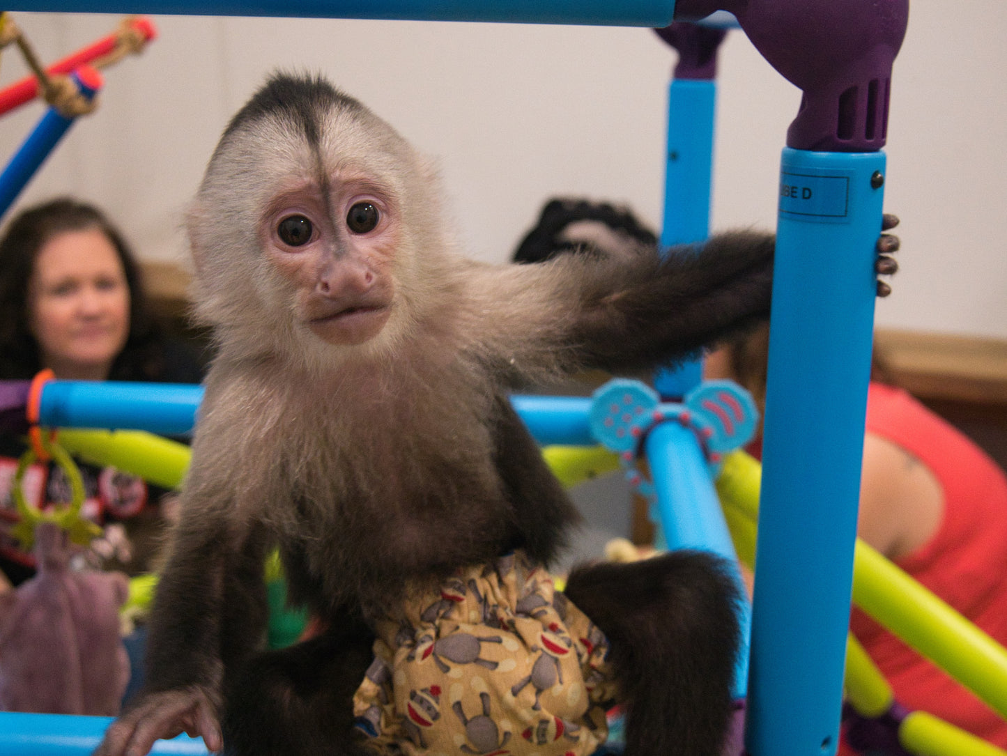 Exotic Animal Experience