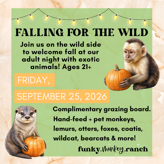 Falling for the Wild Adult Night