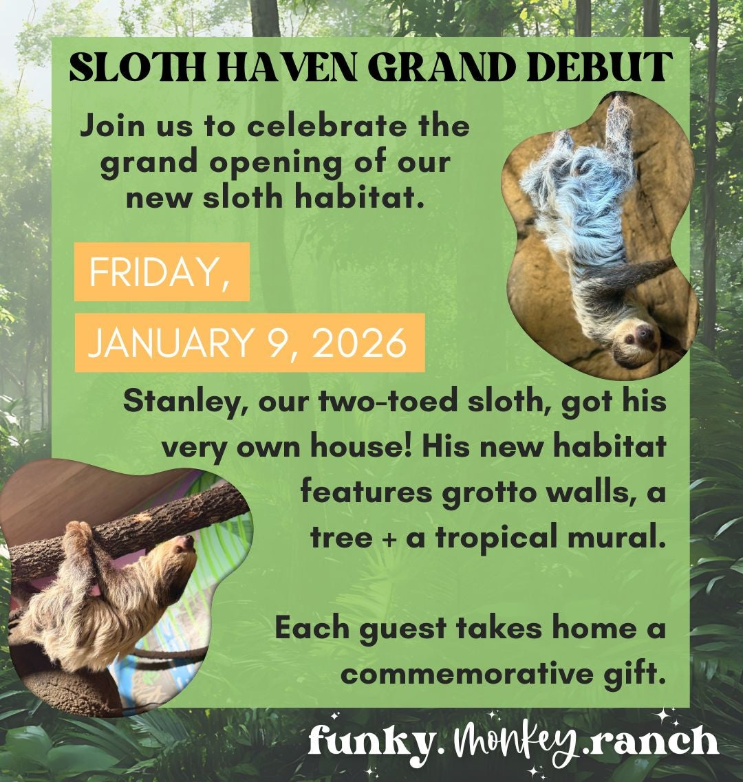 Sloth Haven Grand Debut