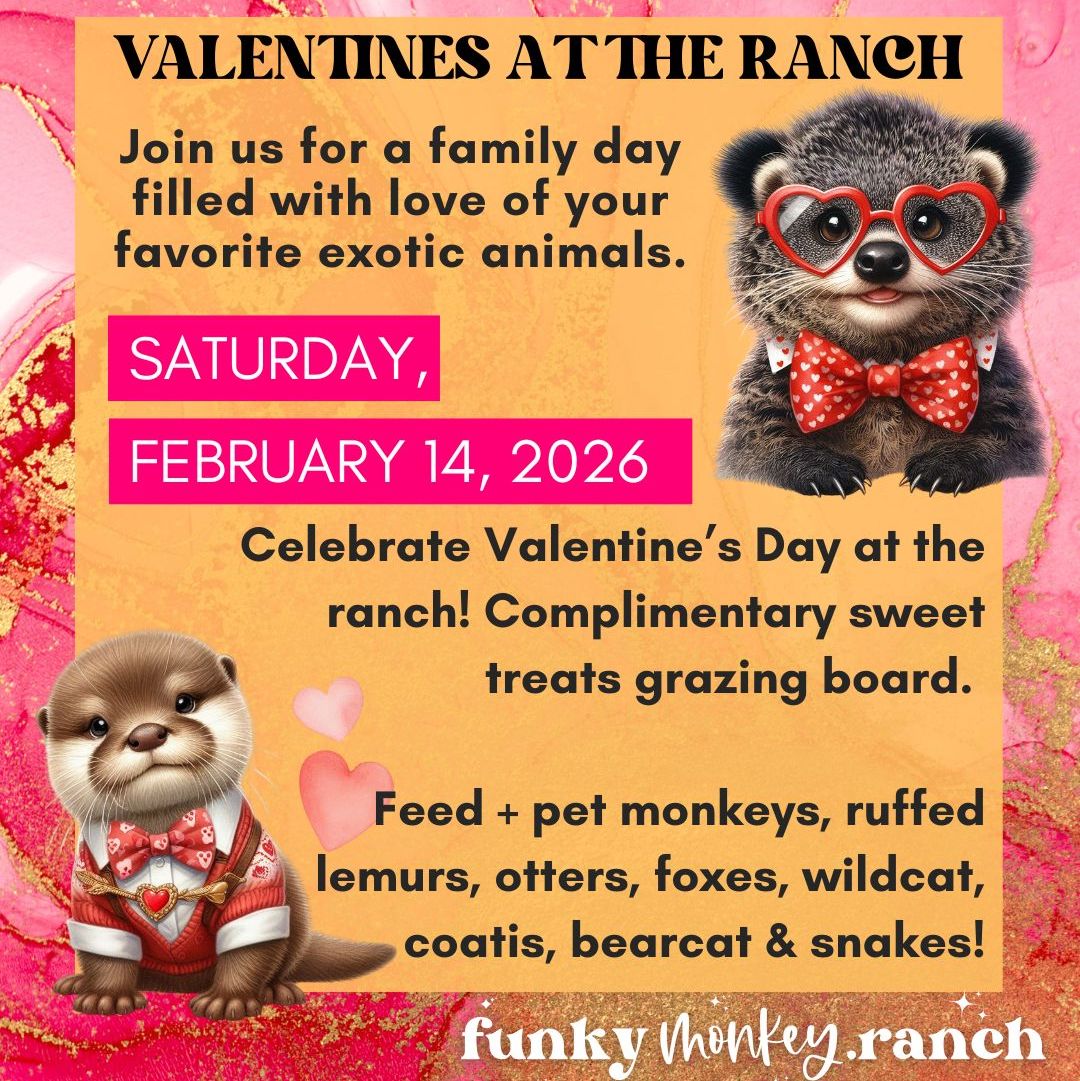 Valentines at the Ranch