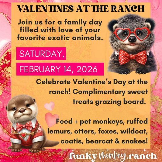 Valentines at the Ranch