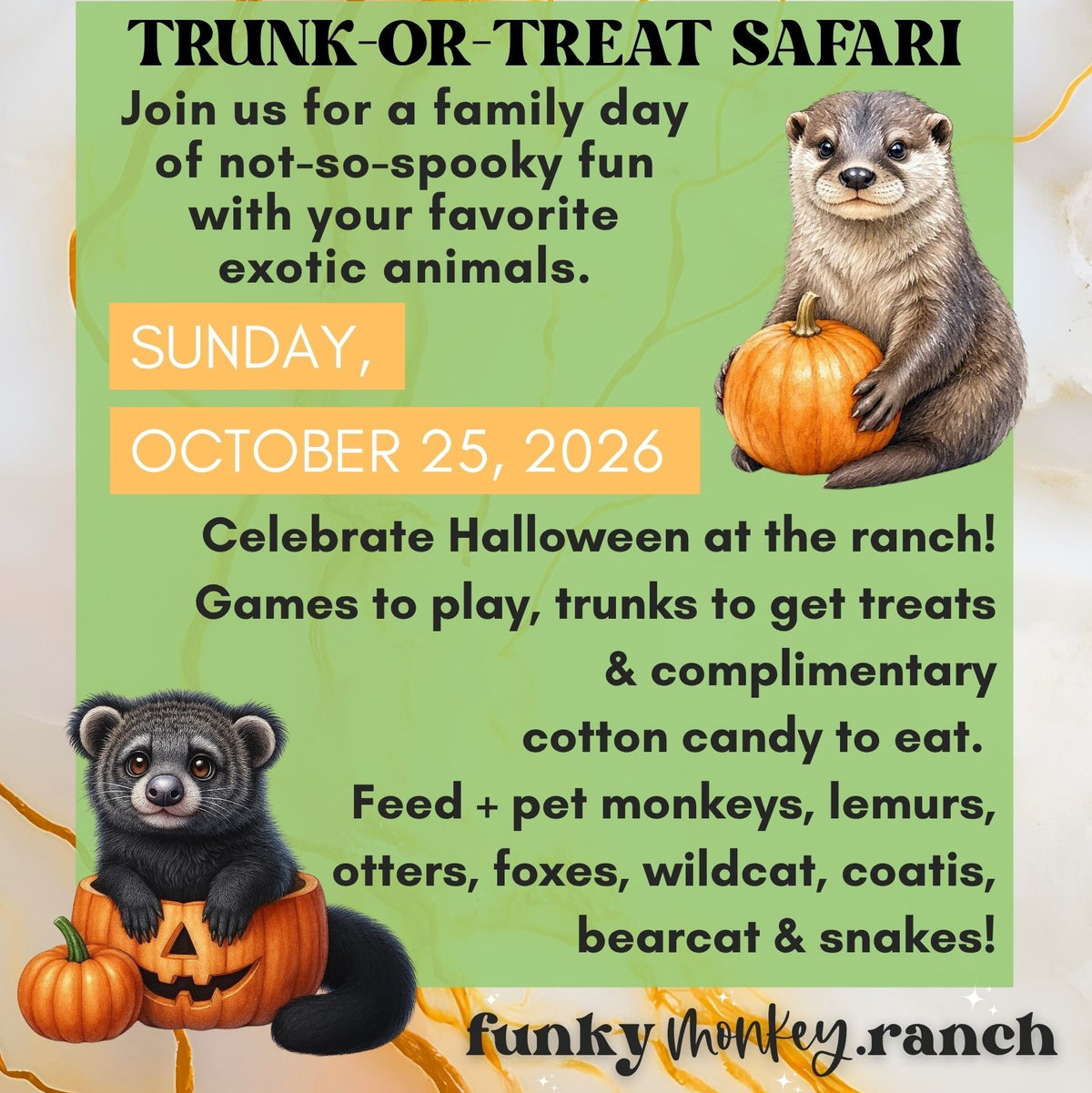Trunk-or-Treat Safari