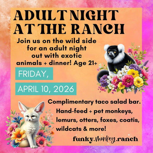 Adult Night at the Ranch