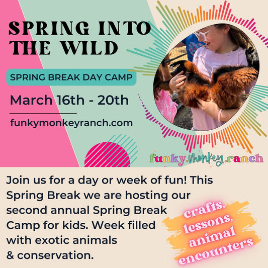 Spring into the Wild - Kids Spring Break Day Camp