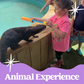 Exotic Animal Experience