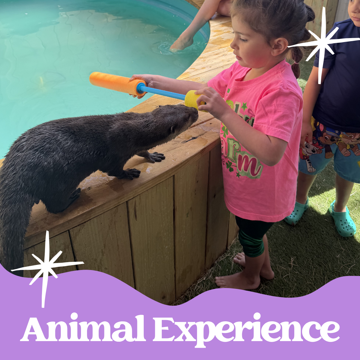 Exotic Animal Experience