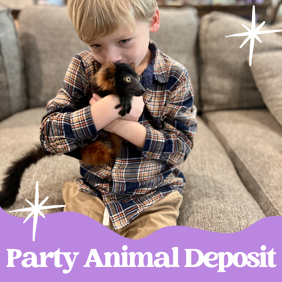 Party Animal Package Deposit