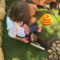 Private Exotic Animal Encounter