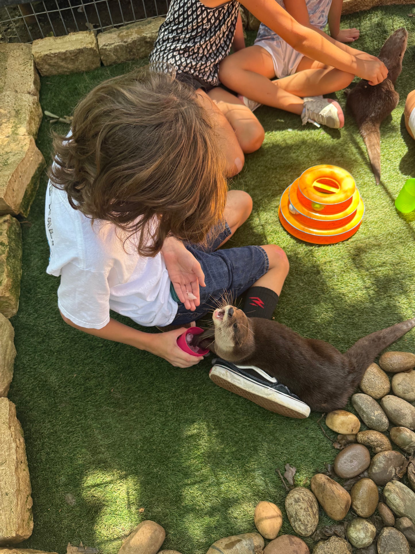 Private Exotic Animal Encounter