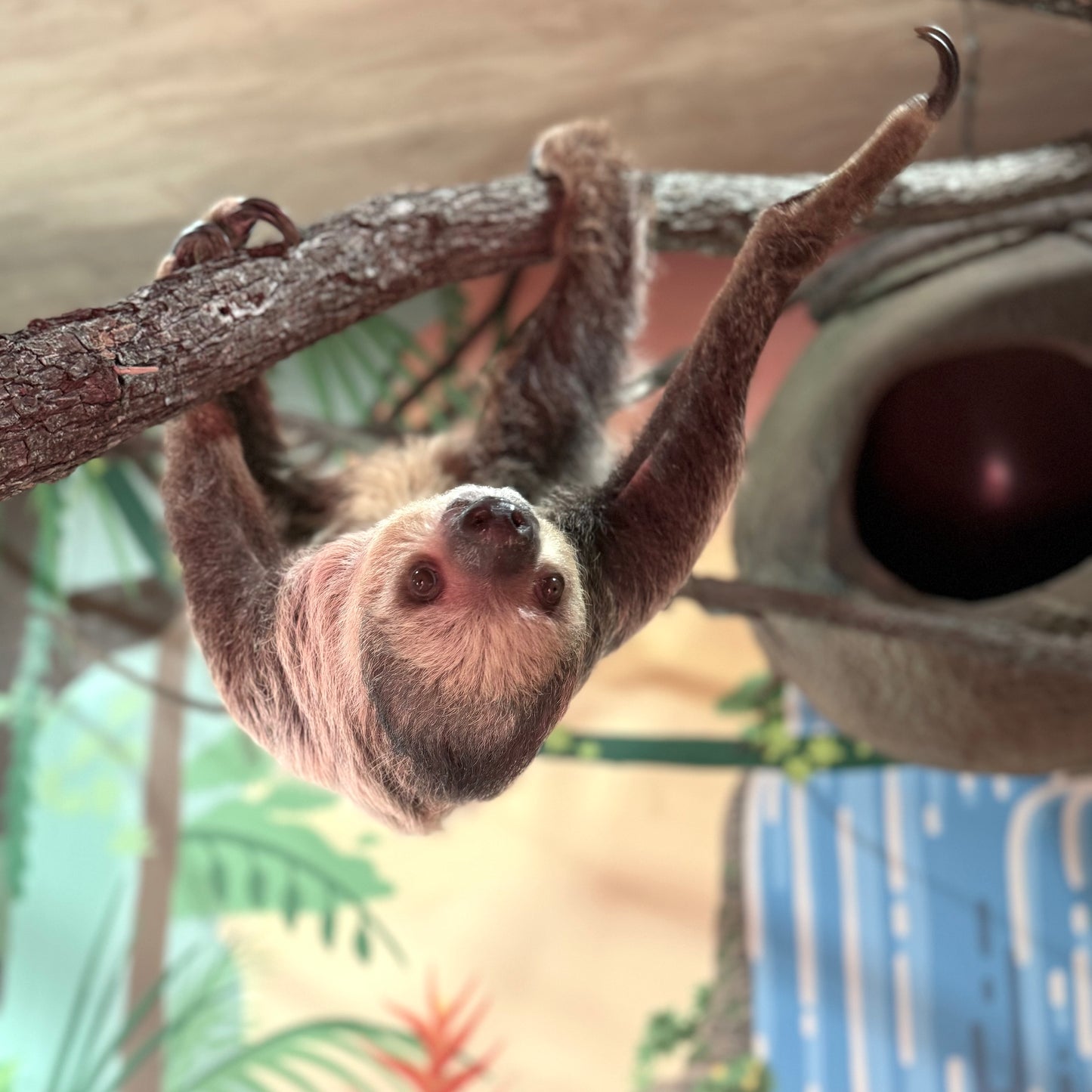 Exotic Animal Experience
