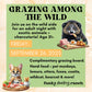 Grazing Among the Wild - Adult Night Event